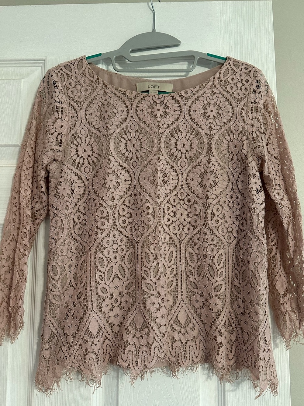 LOFT Blush Lace Crochet Top